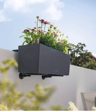 juodos spalvos lechuza balconera laikikliai