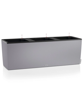 lechuza vazonas pilkas ismanusis