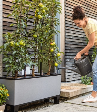 Lechuza vazonai ismanieji interjere