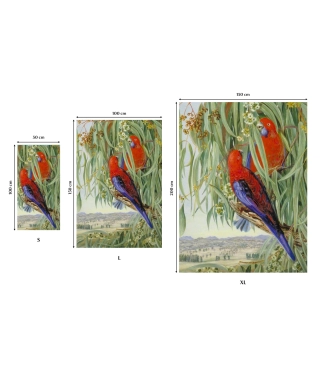 kokybiški rankšluosčiai su spauda