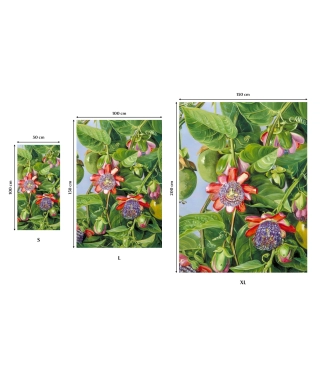 kokybiški rankšluosčiai su spauda