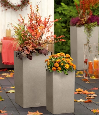 aukšti vazonai lechuza