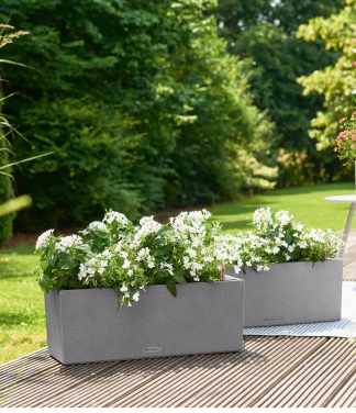 loveliai geleme lechuza vazonai