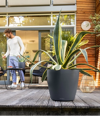 vazonas lechuza classico didelis