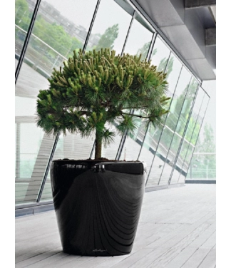 lechuza vazonas juodas ofisui