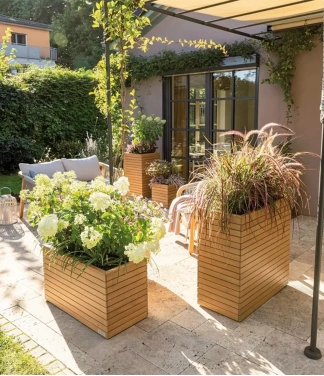 Lechuza pods zems dabīgais koks Palo 45