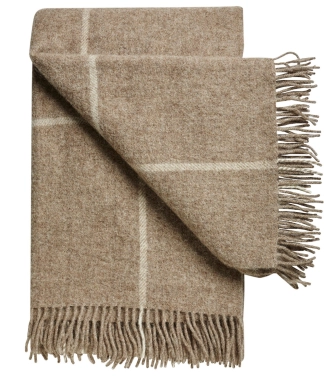 vilnonis pledas rudas languotas