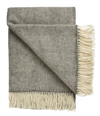 Vilnonis pledas pilkas