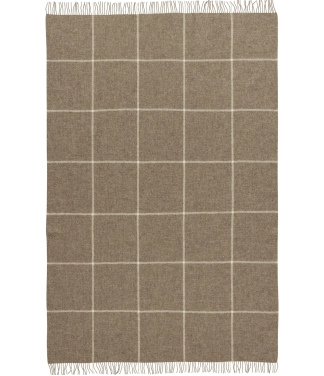 vilnos pledas languotas rudas