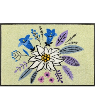 duru kilimelis su kalnu gelemis