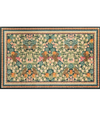 plaunamas duru kilimelis sodas ir geles