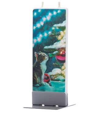 kaledine zvake su katinu