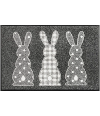 wash+dry duru kilimelis kiskiai