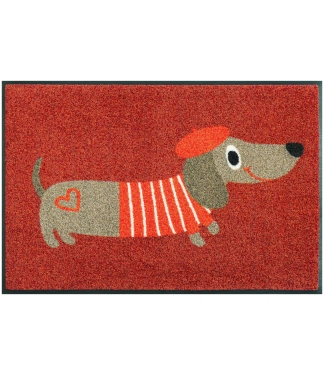 duru kilimelis namams suo taksas