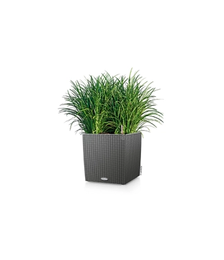 lechuza vazonas gelems pilkas