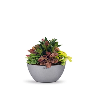 pilkas lechuza vazonas akmens imitacija