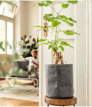 Gudrais puķu pods Lechuza TRENDCOVER Filcs