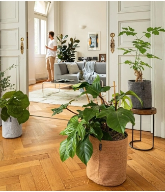 Gudrais puķu Pods Lechuza Trendcover Korķis