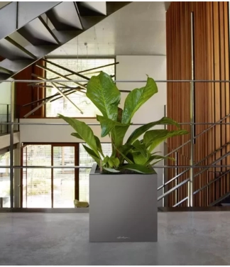 pilkas vazonas ofisui lechuza