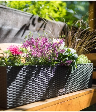 lechuza lovelis gelems balconera cottage