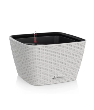 vazonas lechuza baltas