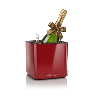 Puķu pods Cube Glossy 16
