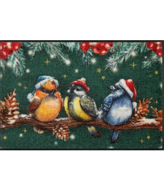 Ziemassvētku durvju paklājs Magic Birds