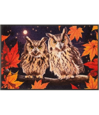 Durvju paklājs ar pūcēm Night Owls