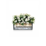 Gudrs puķu pods Lechuza Balconera Cottage 50 6