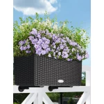 Gudrs puķu pods Lechuza Balconera Cottage 50 2