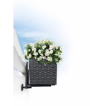 Gudrs puķu pods Lechuza Balconera Cottage 50 4