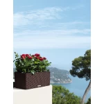 Gudrs puķu pods Lechuza Balconera Cottage 50 1