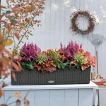 Liels puķu kaste Lechuza Balconera Cottage 80 3