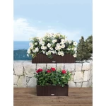 Liels puķu kaste Lechuza Balconera Cottage 80 1