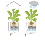 Puķu pods Lechuza Cube Cottage 30 5