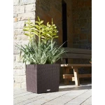 Puķu pods Lechuza Cube Cottage 30 3