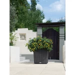 Stilīgs puķu pods Lechuza Cube Cottage 40 2