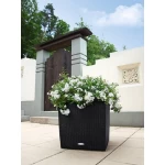 Augu pods Lechuza Cube Cottage 50 1