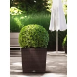 Augu pods Lechuza Cube Cottage 50 1