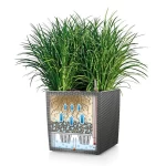 Augu pods Lechuza Cube Cottage 50 5