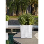 Augu pods Lechuza Cube Cottage 50 1