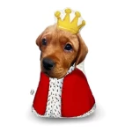 Personalizēts spilvens Karalis 1