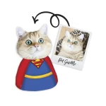 Spilvens ar kaķa attēlu SuperMan