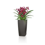 Puķu pods Lechuza Cubico 22 2