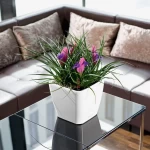 Ziedu pods Lechuza Quadro 21 5