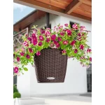 Piekarināms puķu pods Lechuza Nido Cottage 28 2