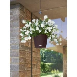 Piekarināms puķu pods Lechuza Nido Cottage 28 3