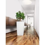 Augsts āra puķu pods Lechuza Cubico Cottage 2