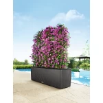 Āra puķu pods Lechuza Trio Cottage 5