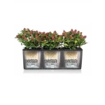 Āra puķu pods Lechuza Trio Cottage 1